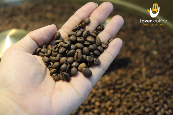 Khách hàng lấy sỉ trên 100kg cà phê mỗi tháng sẽ được thuê máy xay và máy pha cà phê với mức giá 0đ 